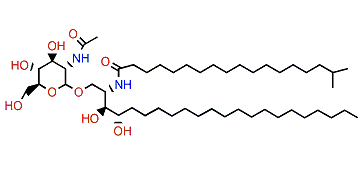 Halicylindroside A2